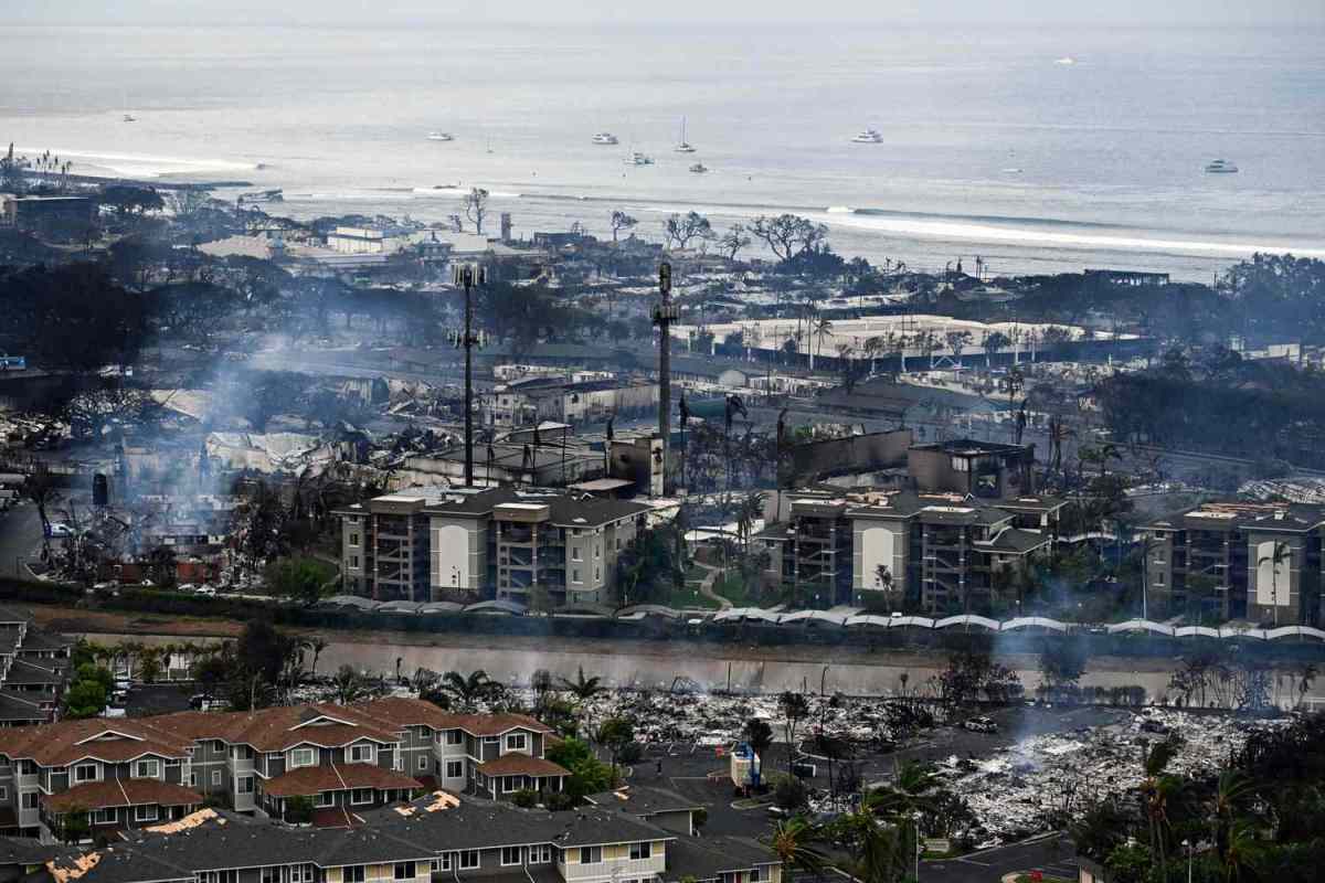 Pacific Palisades: The celebrity Los Angeles area ravaged by wildfire